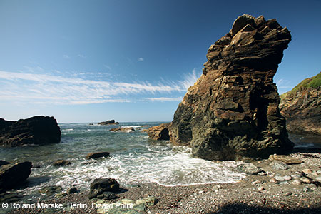 Lizard Point