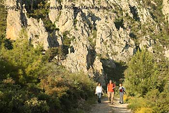 der Wanderweg kurz vor Karmi