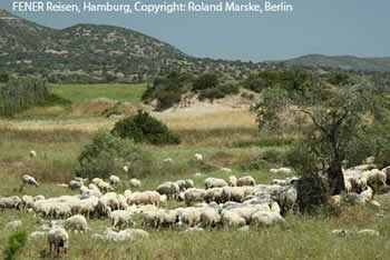 Landschaft auf der Karpaz-Halbinsel in Nordzypern