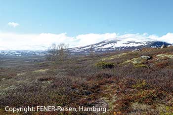 Dovrefjell