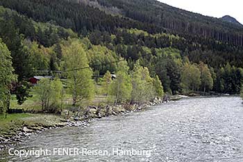 Gebirgsfluss im Gudbrandsdalen