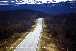 Unendliche Straße in den Norden mit vielen Rentieren