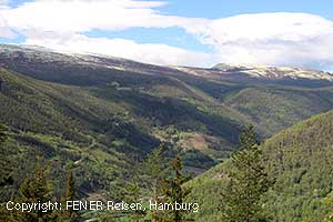 Blick auf den Dovrefjell von Gudbrandsdalsleden