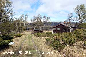 Furughaugli beim Dovrefjell